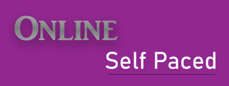 Self paced online preparation